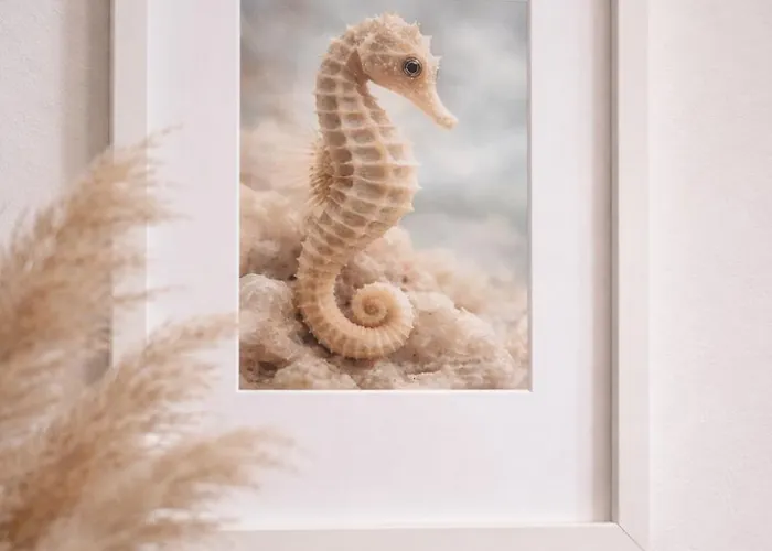 Appartement Mye - Kamienica Leborska *